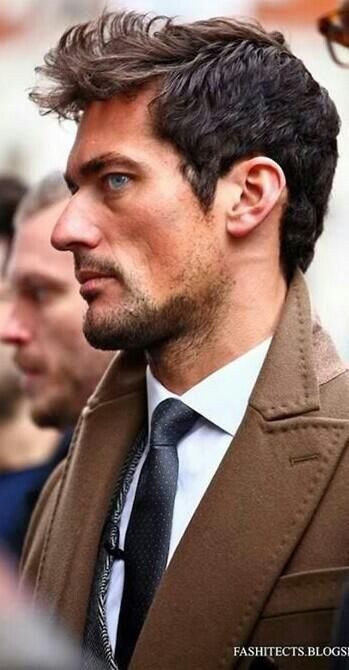 Gandy