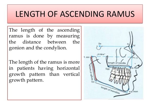 Rakosis analysis 27 638