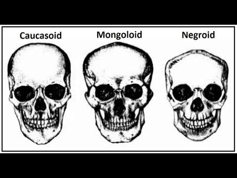 419AC7D4 4C32 4216 A6E1 23B84742A077