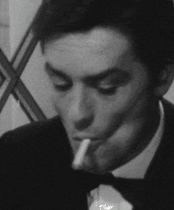 2935DFD0 8228 4DA2 BF5E 4804F988D43E