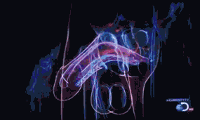 1568166697588