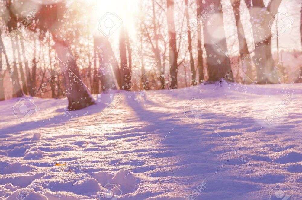 67610352 winter snow magic forest background cozy winter nature scene with snow and sun flare 