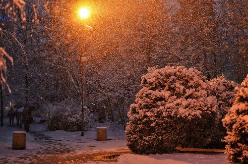 Winter lights cozy snow amazing Favimcom 574881