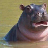 2933