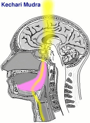 1569125460846