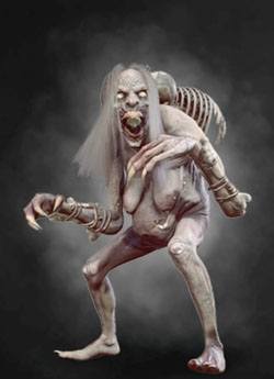 Grave hag