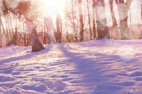 67610352-winter-snow-magic-forest-background-cozy-winter-nature-scene-with-snow-and-sun-flare-...jpg