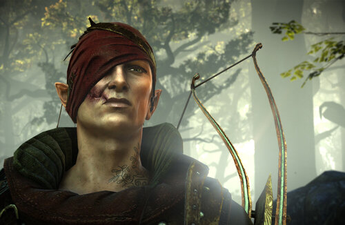 the_witcher_2__assassins_of_kings___iorveth_by_t0xico-d62herp.jpg