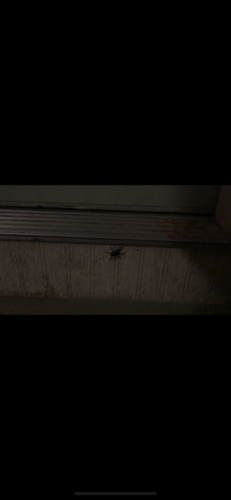 476FF731-7089-4FDF-8DBE-54840CC19795.png