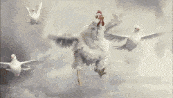 Giphy 2