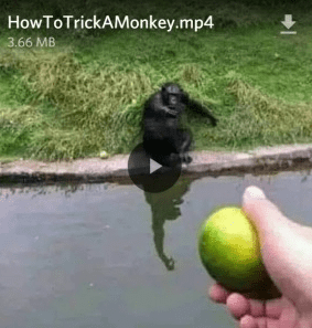 1571067380191