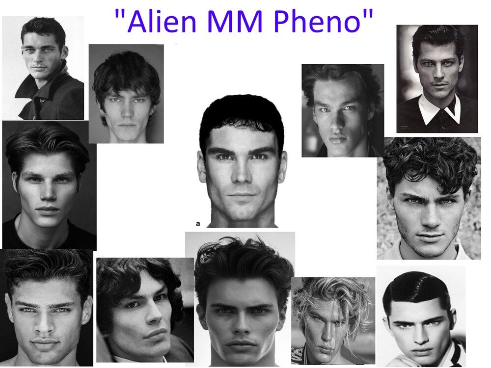 Gay alien Male Model Phenotype | Looksmax.org - Men's Self-Improvement ...