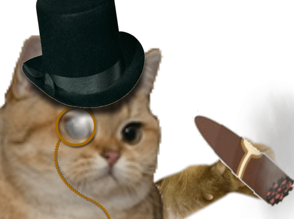 1516041268 chat riche cigare oeil