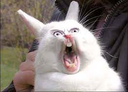 CAE71301 B83F 41BA A904 337DC197AE0F