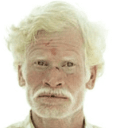 A1