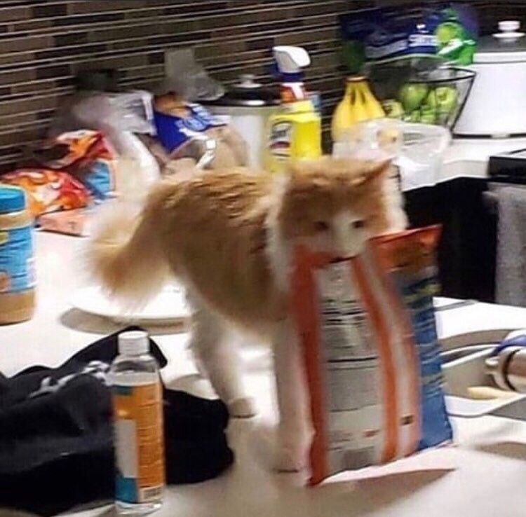 64197A7E 85A1 4FC1 81C8 4409A8924F16