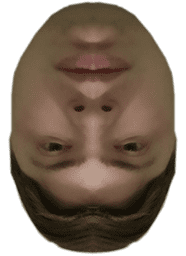 Flip Flip