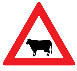 Main qimg dac1dca4e1aeca2fb517bf9e5bd9e9a3