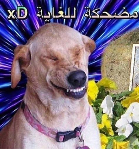 D2E44AB6 56CB 488F BCBF 14AFDB45A445