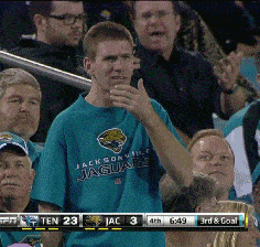 Jackson jaguars