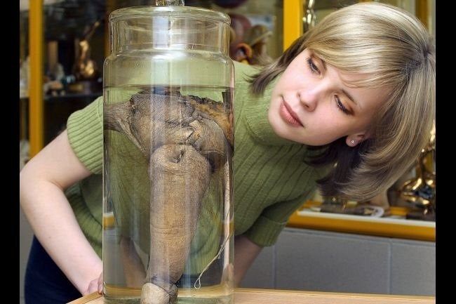 L4zInxLe3hy1nr5qEAi4QkODZCWG3TnW7P bZp21CHQ