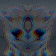 MOSHED 2019 11 16 12 14 59