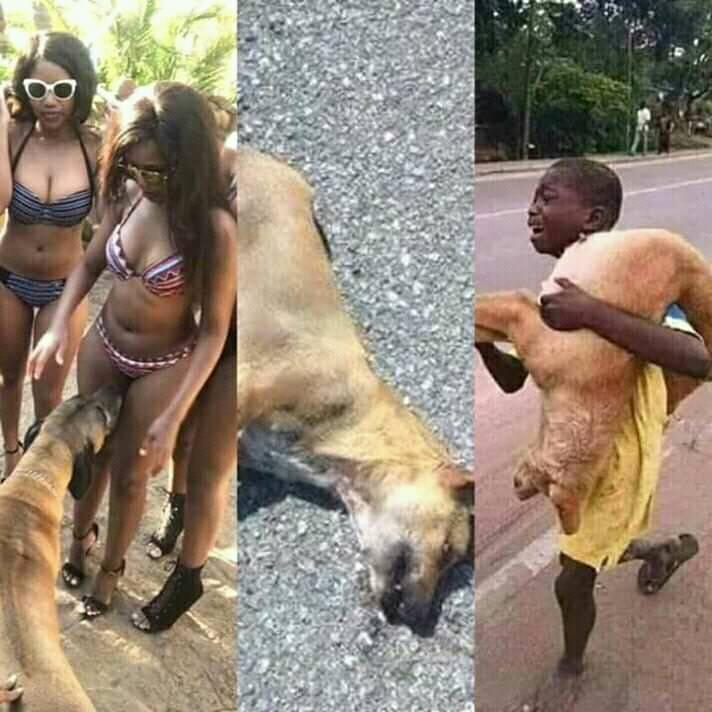 75419115 482783435658425 8059755556874747904 n