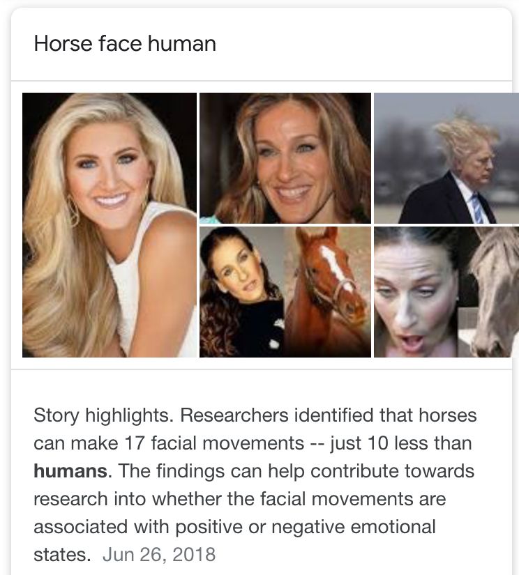 C46F9918 3B39 48BF 9418 1BDE9A432681