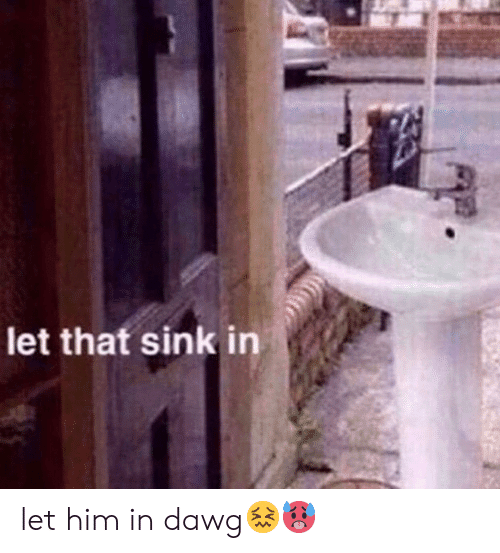 F5F4CDD5 864D 449F 8C39 CA85DEE59243