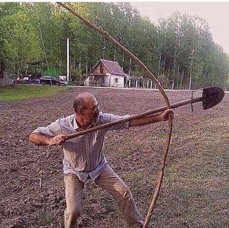 BAF496BE BBA9 4DAB BF4E 031F1E104D47