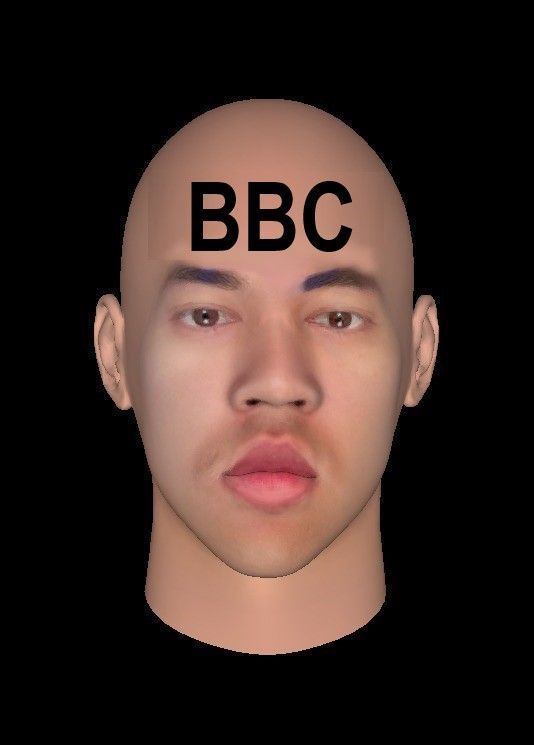 Reptiles bbc