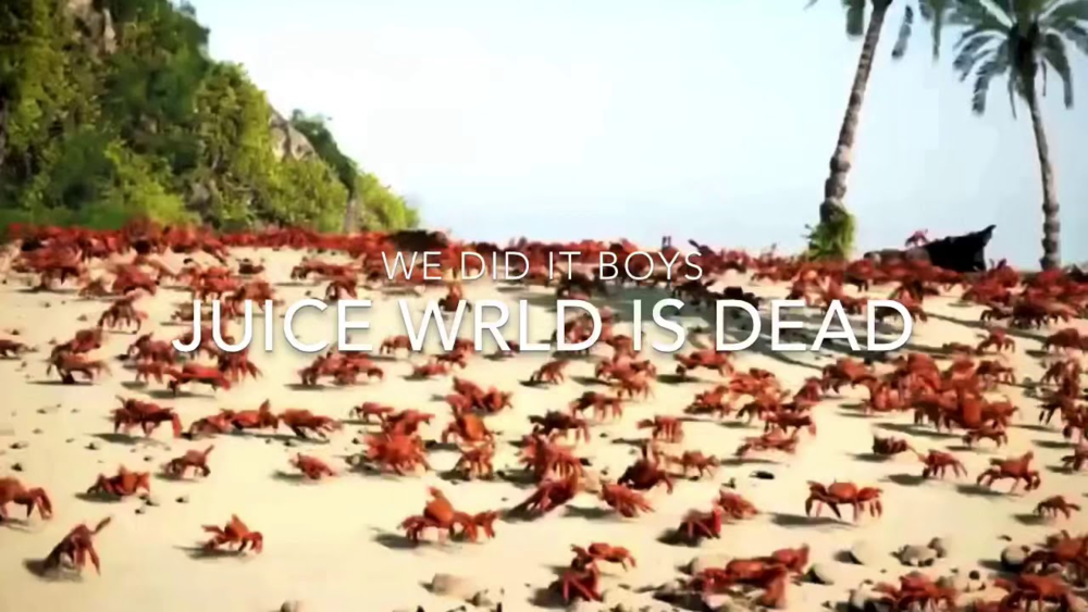 1575995941059