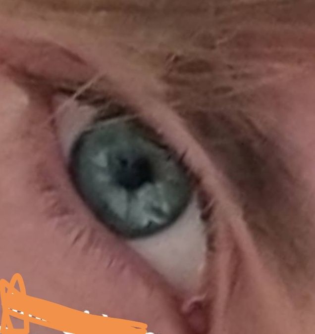 Screenshot 20191214 073116