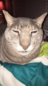 Aoegame 20191216 022821 000