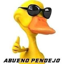 74624087 2314650498664008 5045652619276582912 n