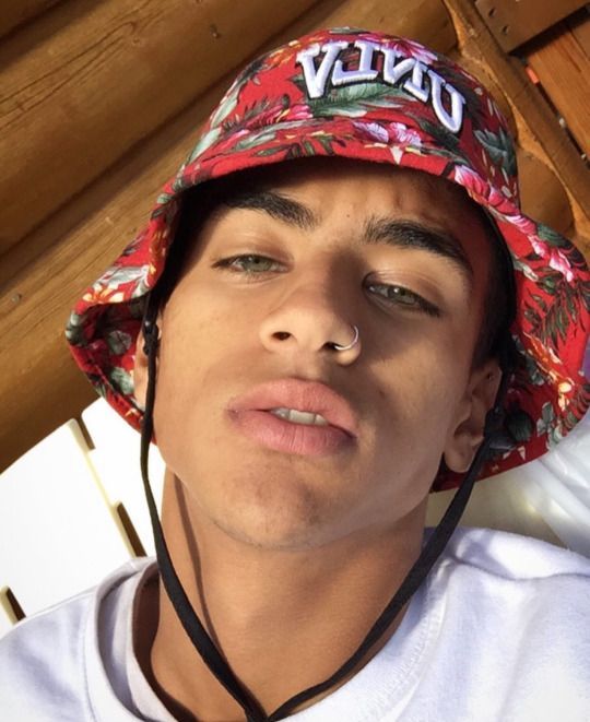 C1a8e186eb0330197662cc2ff06a7200