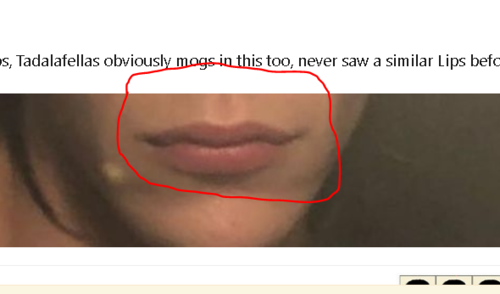 1575239469877.png