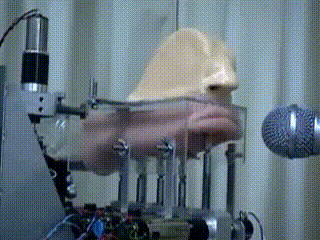 135.gif