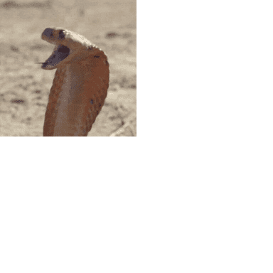 606BBBE9 B43E 4A0B BE77 759884A2EAA0