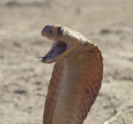 33698972 4D7D 48C9 9DF6 F8DF3D5EAF26