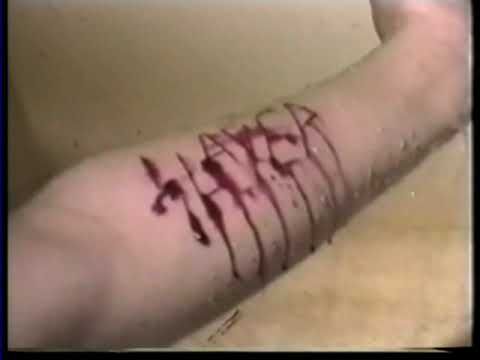 7F337CC5 70F3 464E 95C6 497ED051F9B9