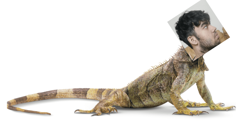 Reptilee
