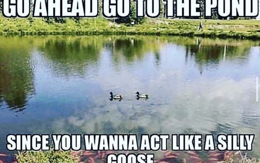 107828AA 2B9F 43AE 94D3 3CCE7F7F9B9C