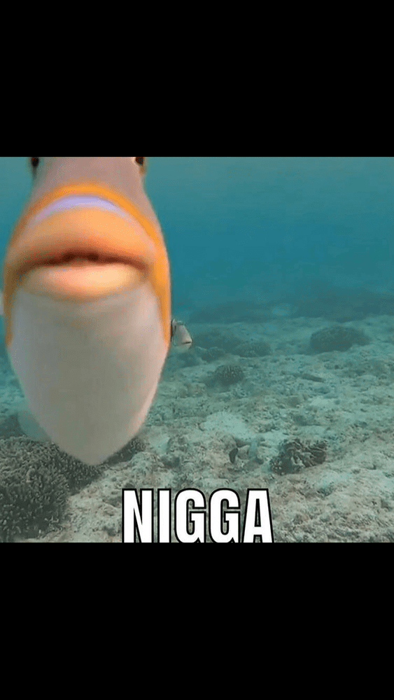 1FFDFF44 5E8A 4960 A511 6A2B5296F541