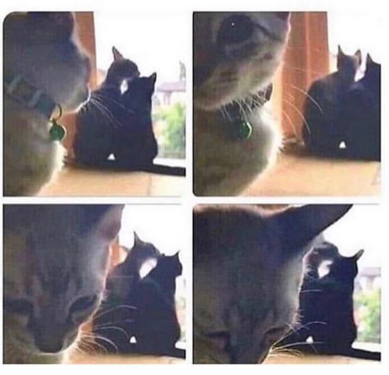 A267BAF9 4F15 4F61 9E54 9B9B905A1B59