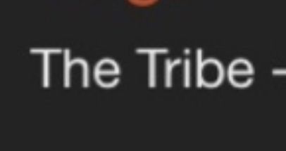 5D03D8C3 A46F 4AF0 8774 96A98AAFB2D9