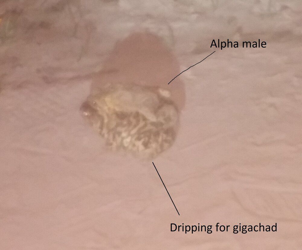 157967022155320180502 214404