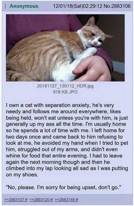 4156584A 04D0 40E0 A5E0 4BA9C3DE8B93