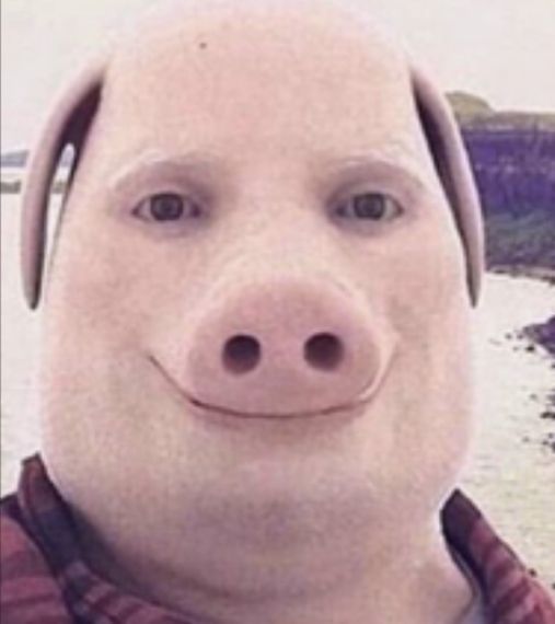 998A6314 8F7E 4AE3 A464 3733E23CB932