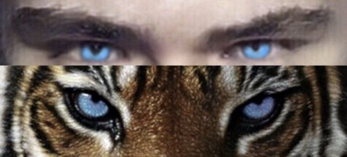 9062E336 1476 418B 9A06 E2B6C7BCCE20